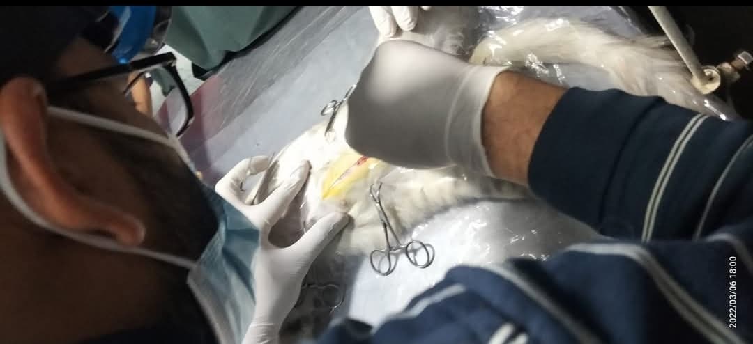 Dr Adnan performing surgery with team